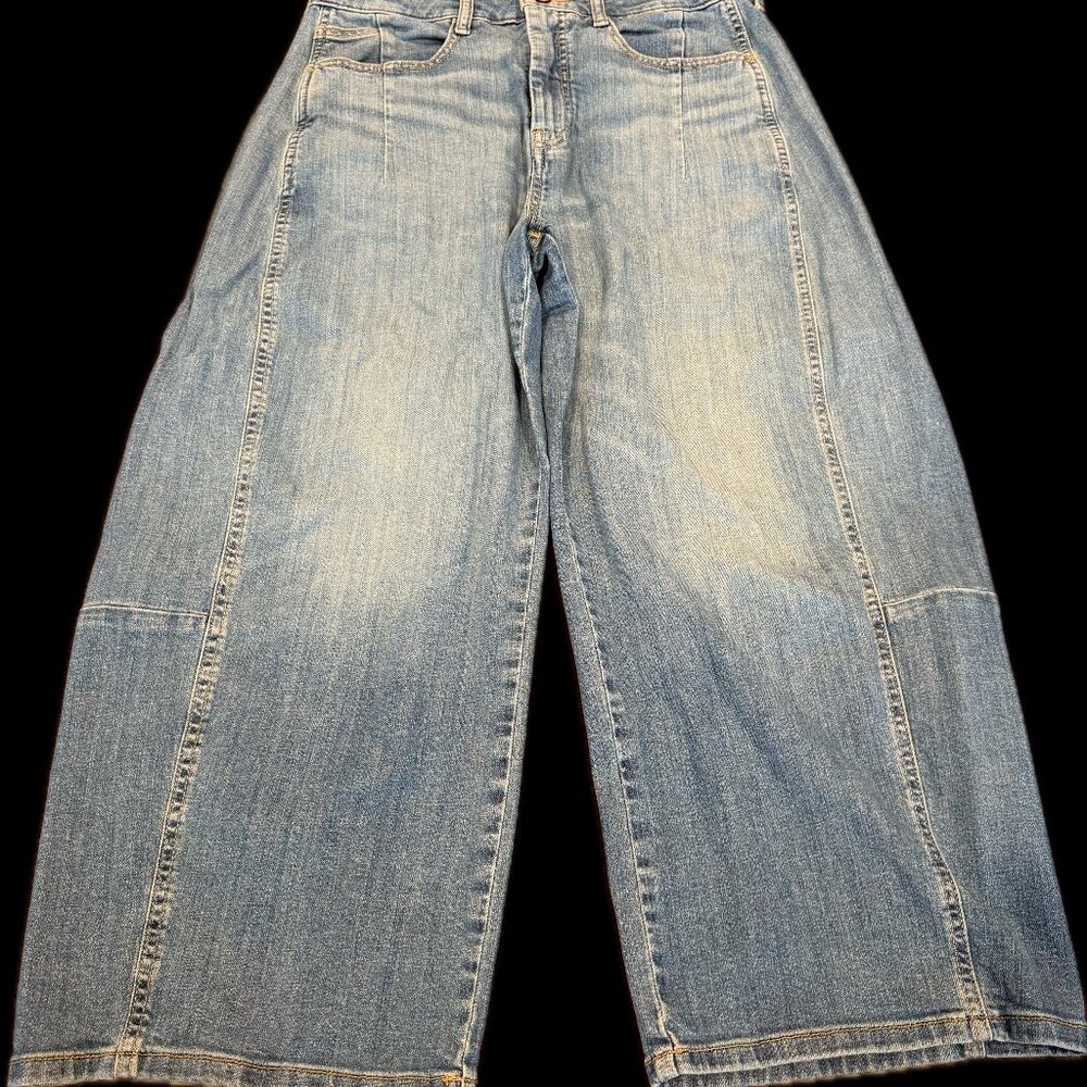 Mid-Rise Pilcro Barrel Jean Sz. 29 by Anthropologie